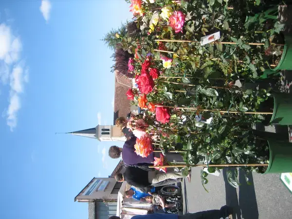 Borne de Recharge 36 Installateur borne de recharge Mers-sur-Indre